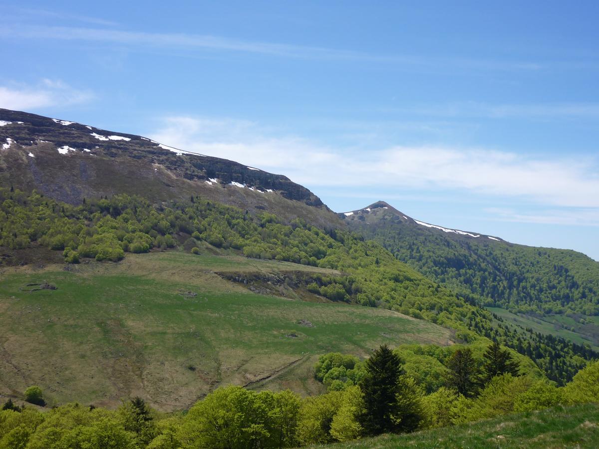 Auberge De L'Aspre Fontanges Εξωτερικό φωτογραφία